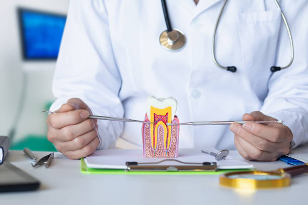 Best Broken or Cracked Tooth Emergency Dentist in Mdleton, ID